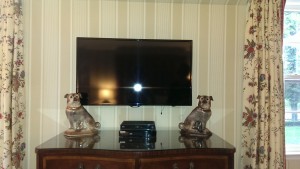 Staffordshire Figures large grey pugs dogs pair