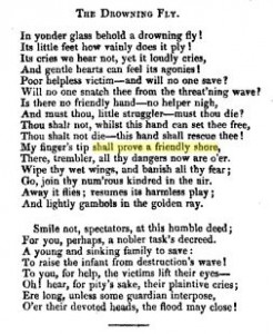 sampler verse source ALL