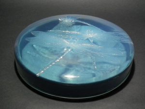 Rene Lalique 'Georgette' opalescent chocolate box, diameter 21cm, 8.27ins. Engraved 'R. LALIQUE France'. Book ref: Marcilhac 45.