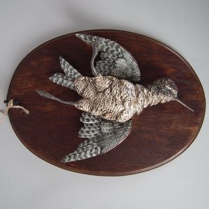 Small Lonitz Majolica Snipe Wall Plaque