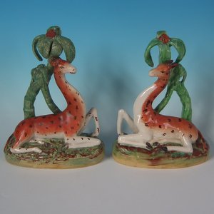 Rare Large Pair Kent Staffordshire Giraffes