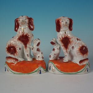 Pair Staffordshire Spaniels with Pups on Cushions