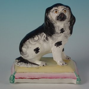Staffordshire black and white spaniel on cushion