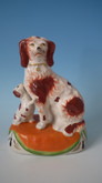 Staffordshire spaniel with pup on cushion