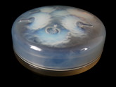 René Lalique Clear & Opalescent Glass 'Houppes' Box
