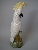 Minton Majolica cockatoo