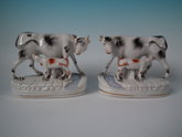 Pair Staffordshire Black and white cow & calf figures