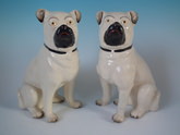 Pair Staffordshire pugs