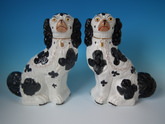 Pair No.1 Staffordshire black&white spaniels