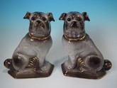 Pair Staffordshire pugs with glass eyes