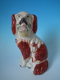Staffordshire Russet & white flower basket spaniel