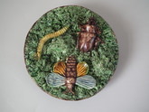 Mafra Majolica Palissy Beetle & Moth wall plate