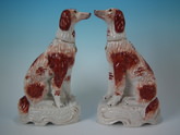 Pair Staffordshire seated Irish setters