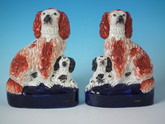 Pair Staffordshire spaniels with pups on cobalt bases