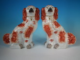 Pair Staffordshire Russet & white spaniels with curly tails