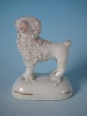 Minature Staffordshire Pottery poodle