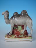 Staffordshire Pottery Bactrian Camel Figure