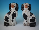 Matched Pair Staffordshire black & white spaniels
