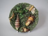 Cunha Majolica Palissy Insect and Frog Plate
