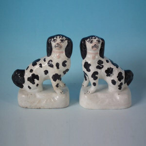 Small Pr Staffordshire Disraeli Spaniels