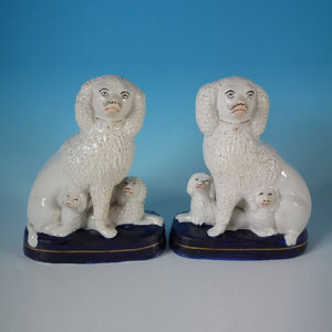 Pair Staffordshire Poodles with Pups