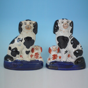 Pair Staffordshire spaniels with pups