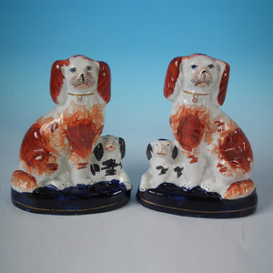 Pair staffordshire spaniels with pups