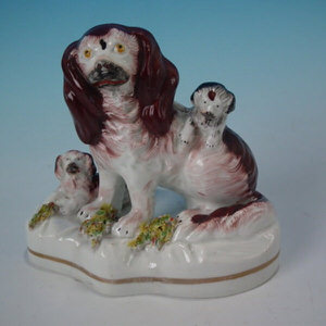 Staffordshire spaniel with playful pups