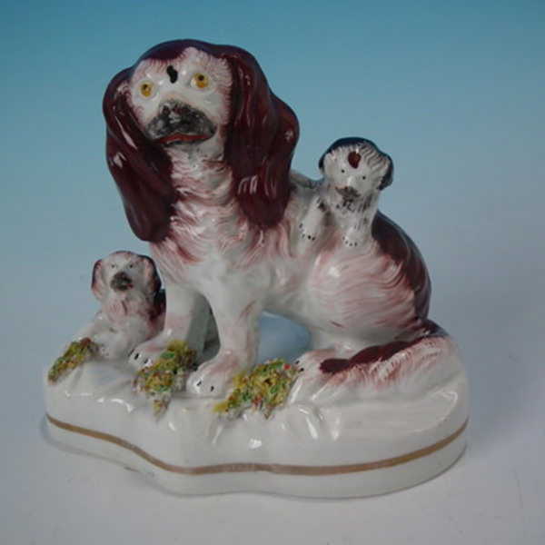 Staffordshire spaniel with playful pups - ID#19978 Image 1